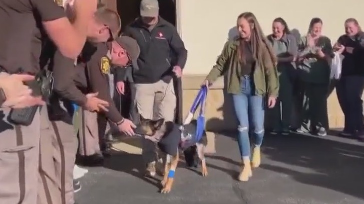 K-9 headed home after deputy-involved shooting